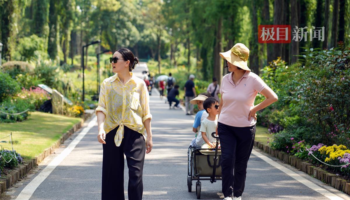 九线拉王游戏原理